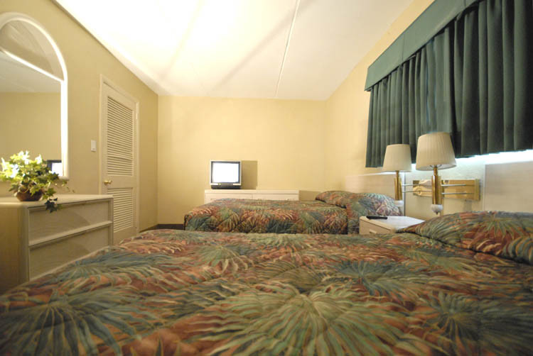 TypeDbed